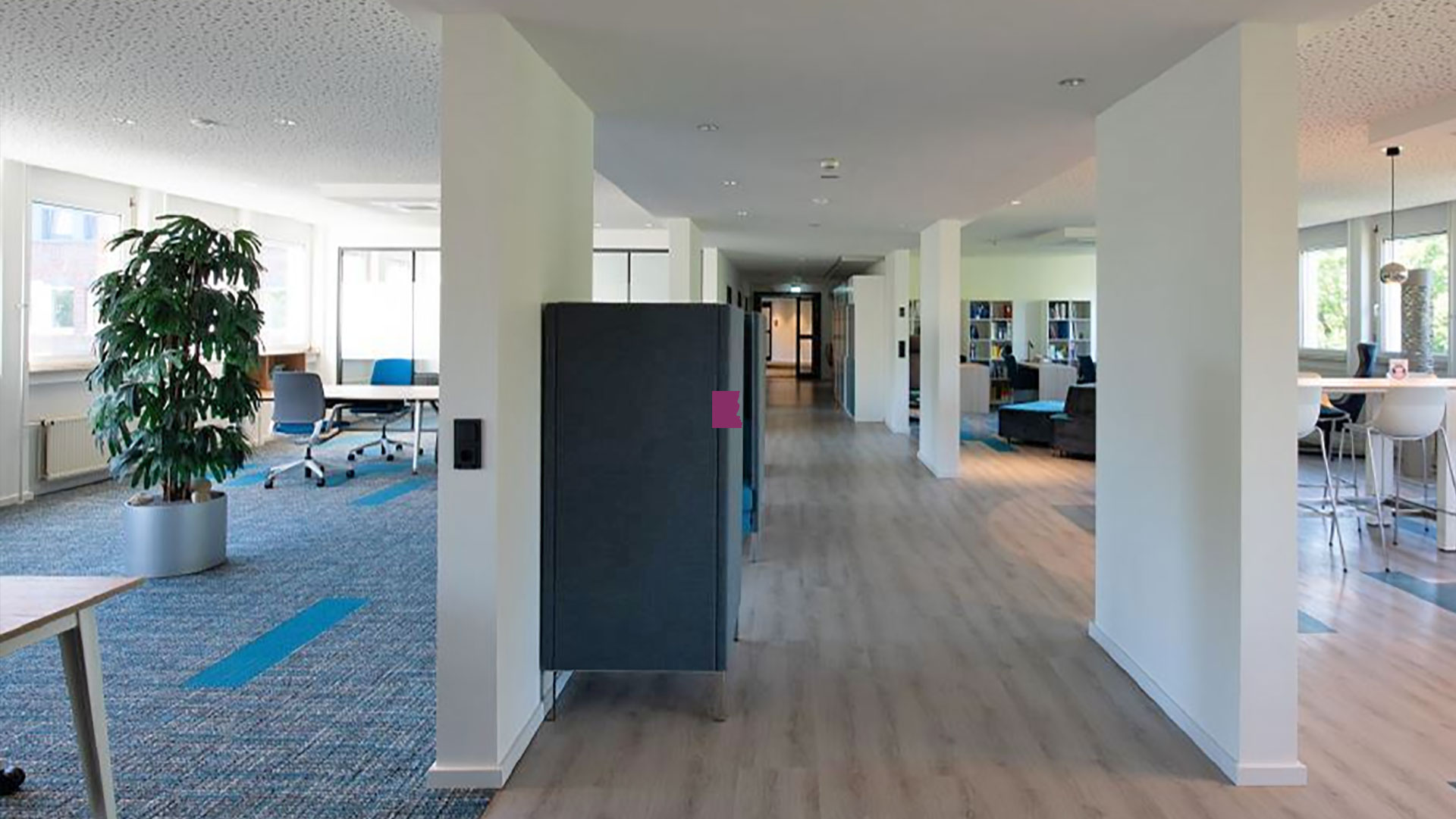 Connect Sense GmbH